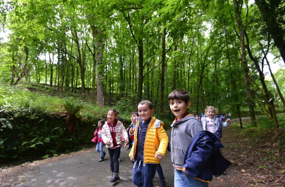 El Jardín Botánico de Lourizán, un pulmón verde