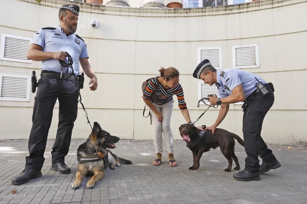 Kira, el nou efectiu de la Unitat Canina de Girona