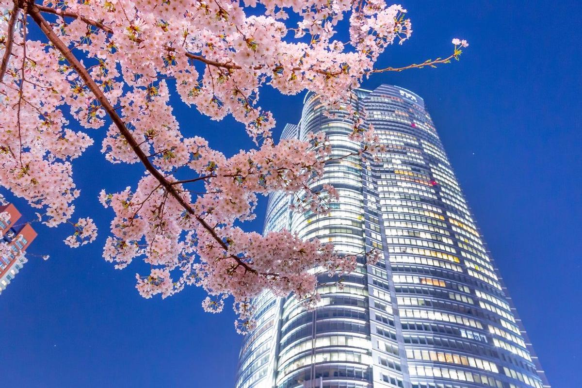 Roppongi Hills, Tokio