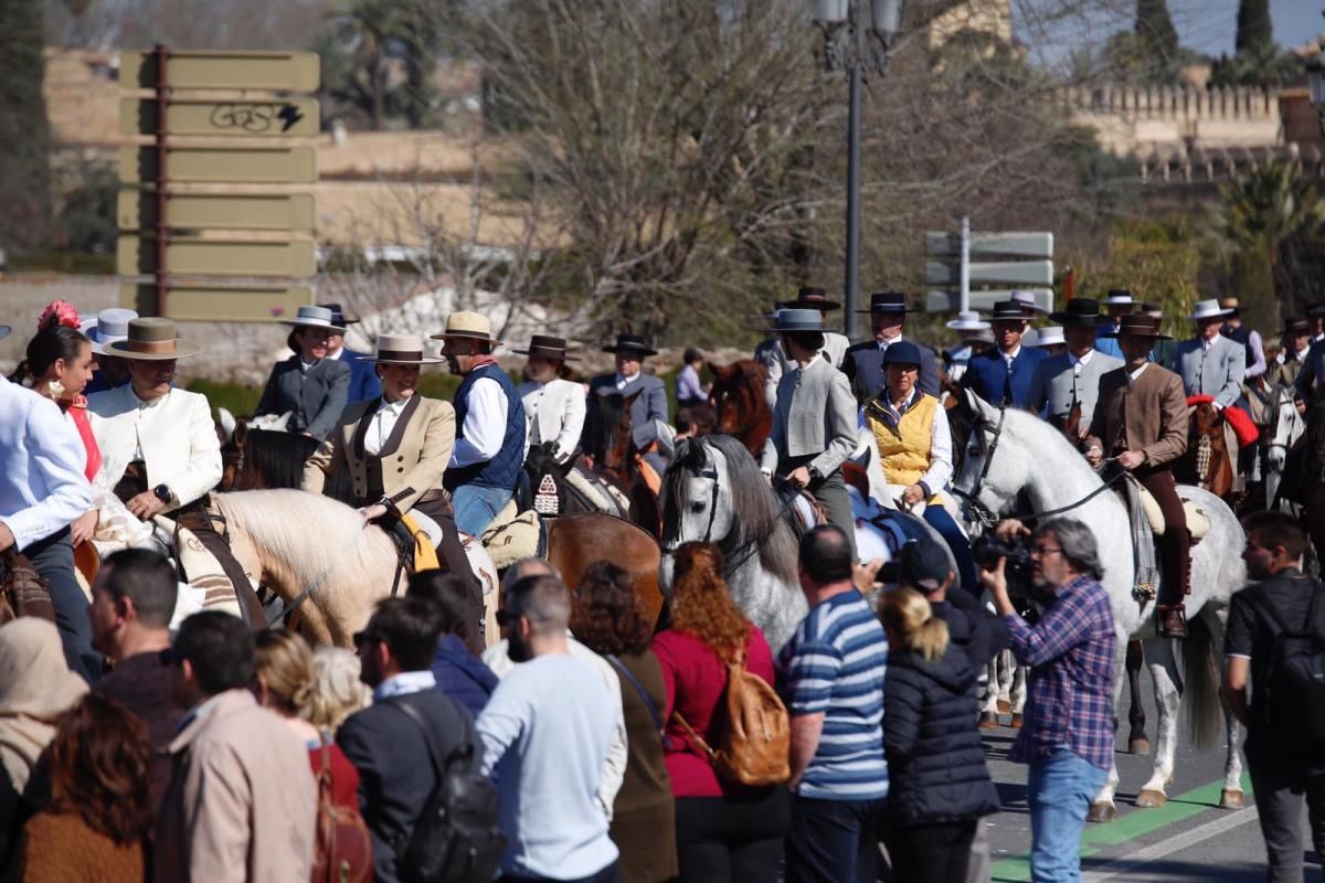 Cientos de caballistas y engances participan en la Marcha Hípica del 28-F en Córdoba