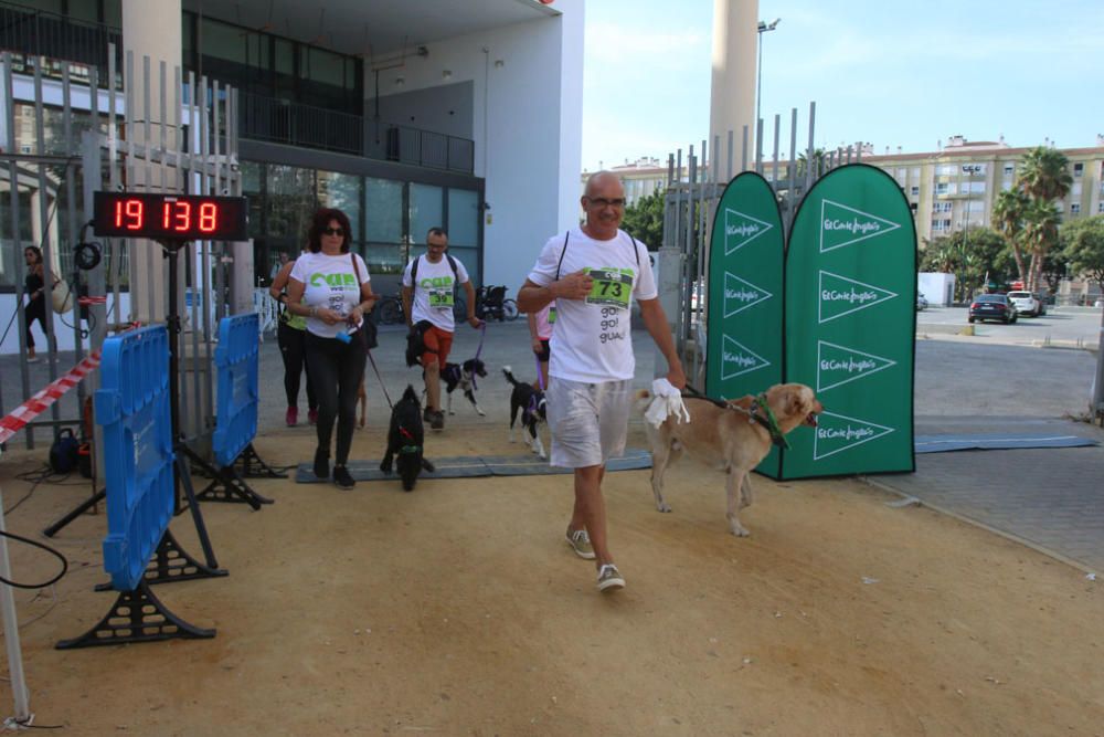 El Parque Huelin ha acogido la primera edición de un evento destinado a las mascotas y a sus dueños, con carreras en diversas categorías, actividades gratuitas y numerosos stands