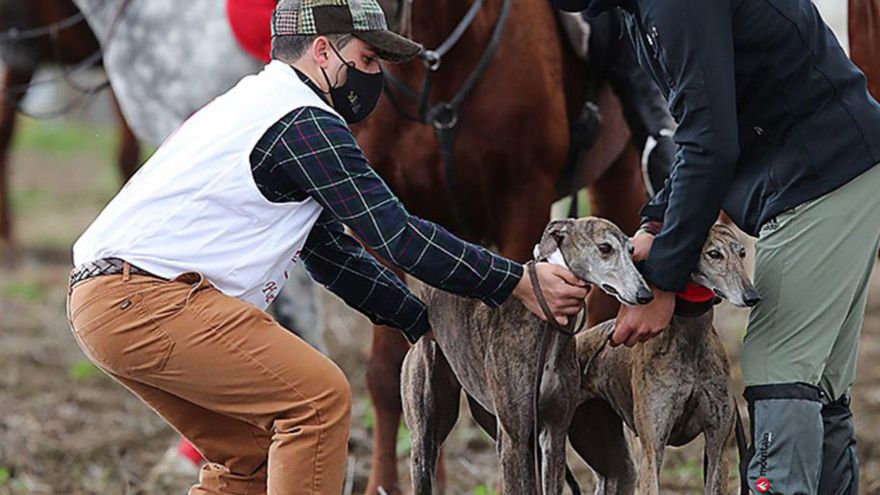 La competición de galgos comienza este fin de semana