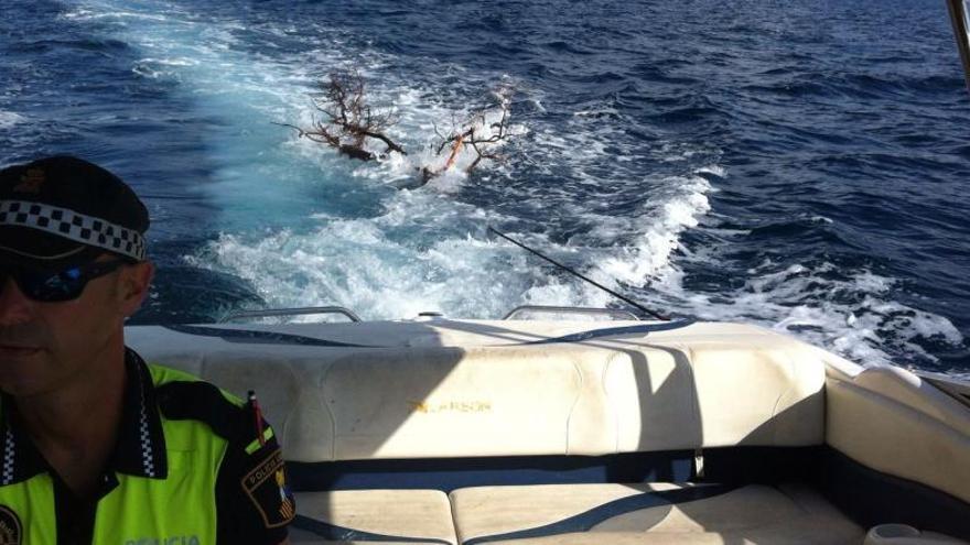 La policía de Xàbia remolca en el mar un tronco de dos metros para evitar accidentes