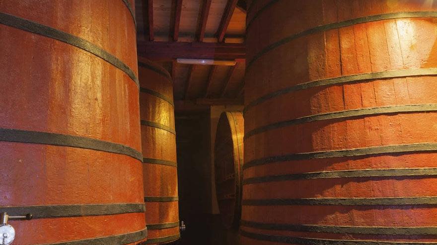 La bodega ha creado una colección de vinos adaptados a las nuevas tendencias de consumo.