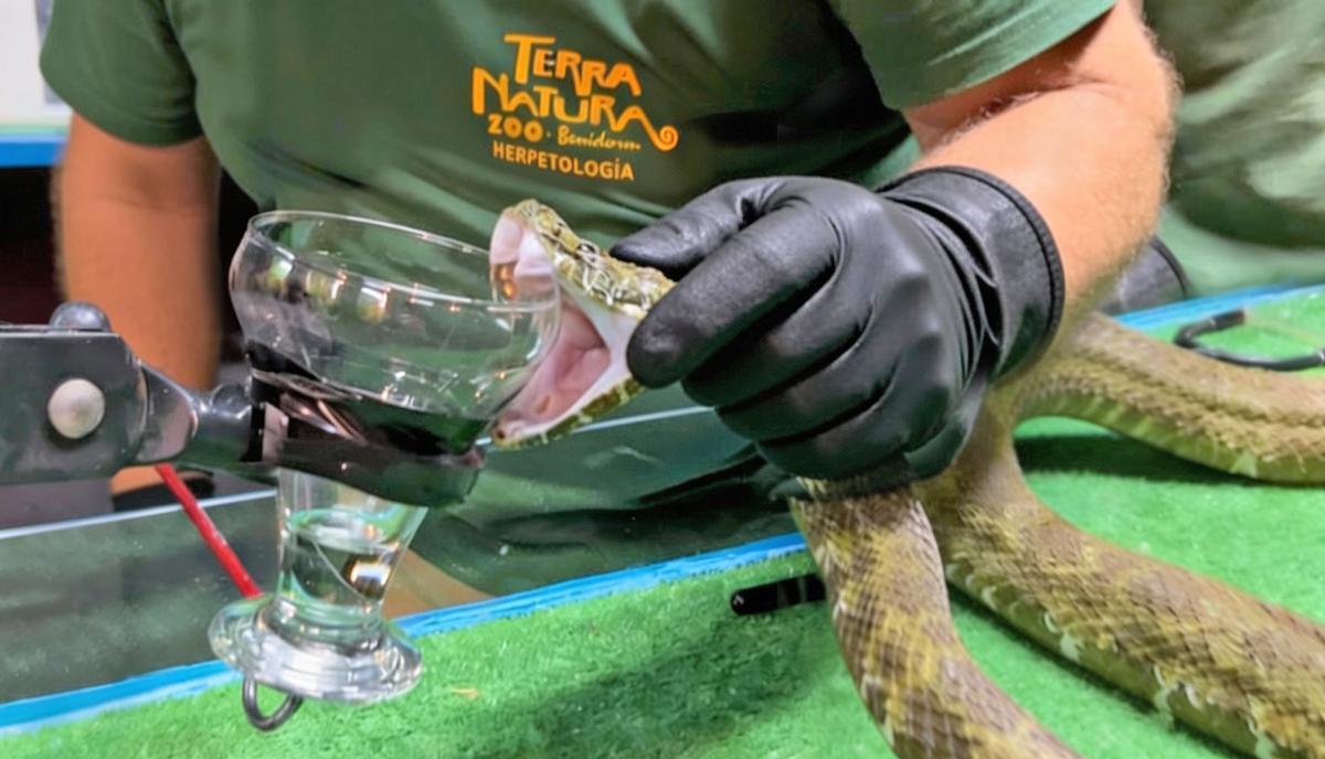 Veterinarios, biólogos y cuidadores trabajan diariamente con protocolos de bienestar animal.