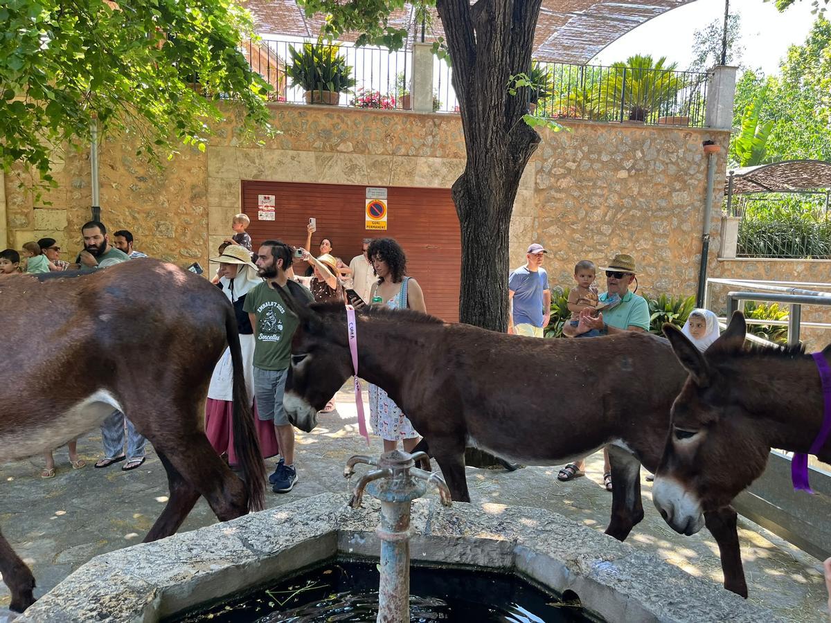 Así fue la fiesta de bienvenida en Esporles a las 'someres'