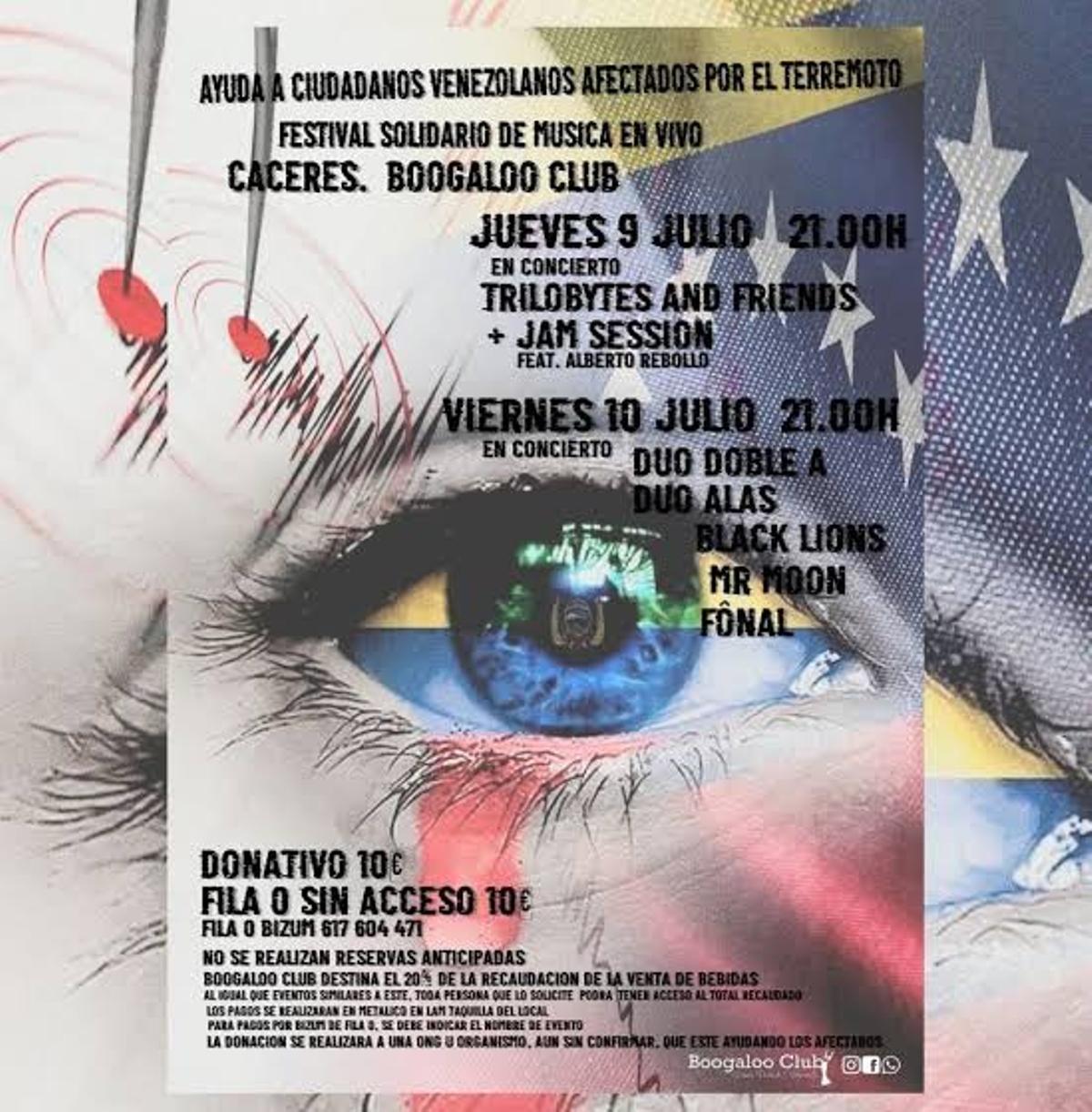 Cartel oficial del festival solidario.
