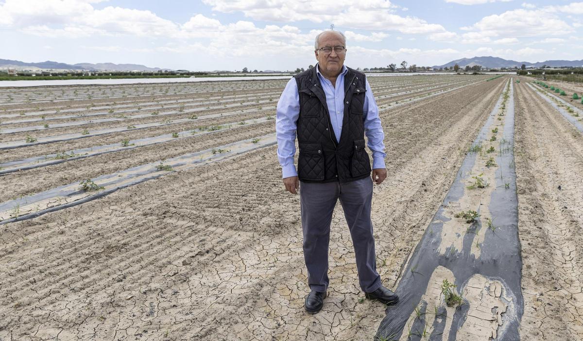 Padilla defiende el papel estratégico de agricultores y ganaderos y reclama más reconocimiento social para el sector