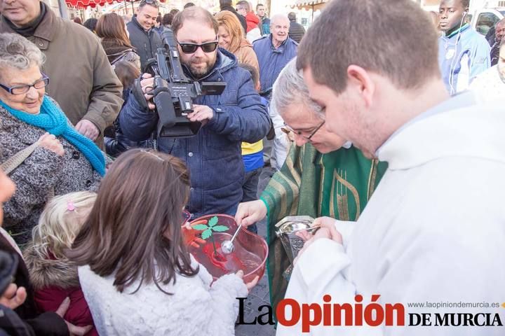 Bendición de animales en Caravaca