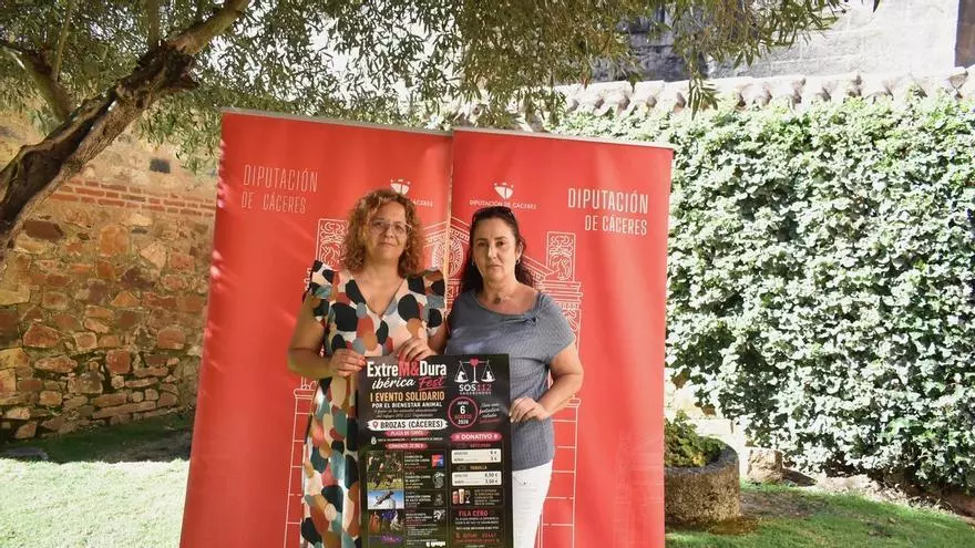 Vídeo | Brozas organiza un festival solidario con exhibiciones y música para ayudar a más de 70 animales