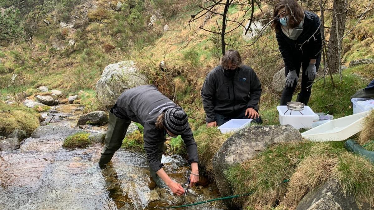 Un tros de plàstic pot alterar l&#039;ecosistema d&#039;un riu del Pirineu?