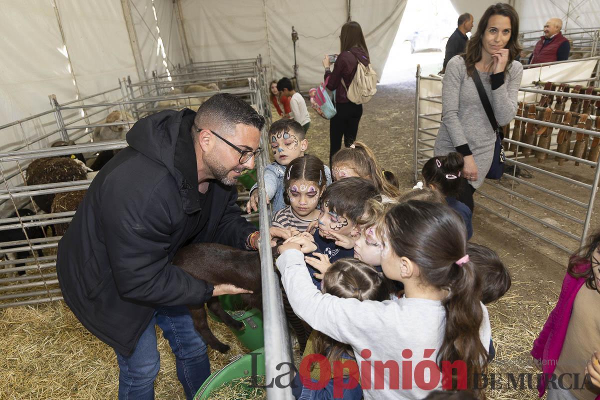 Así se ha vivido la IX Feria del Cordero Segureño celebraba en la pedanía caravaqueña de Archivel