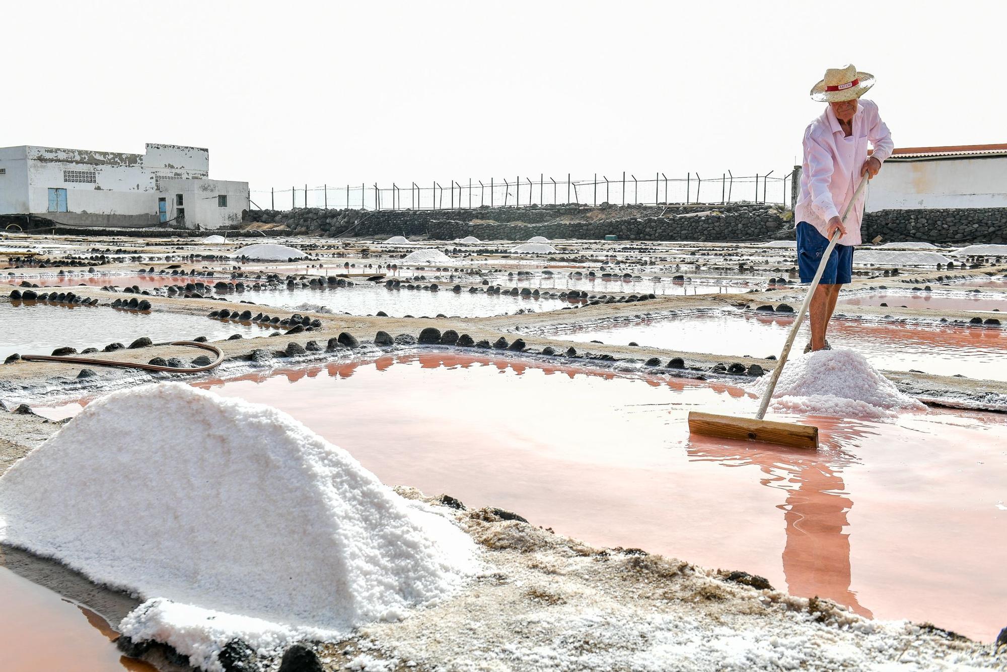 Salinas de Vargas