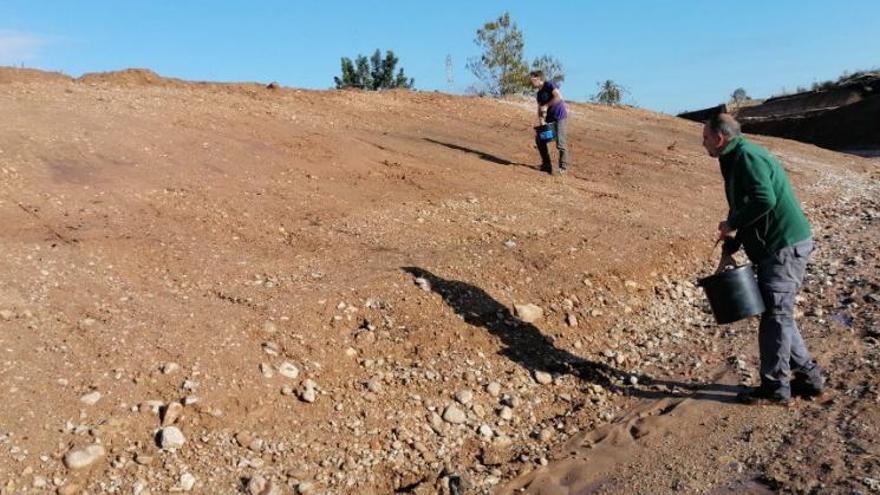 Dos operarios esparcen las semillas para que arraiguen las gramíneas.