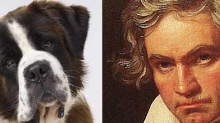 Los jóvenes de EE UU creen que Beethoven es un perro - Información