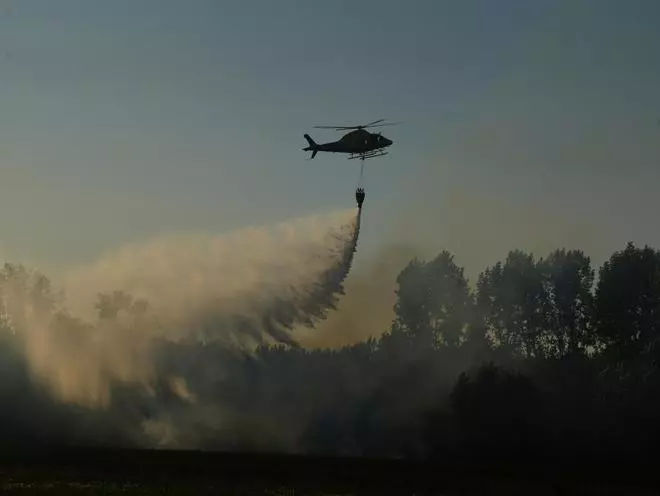 GALERÍA | Incendio en el "Plantío viejo" de Villaralbo