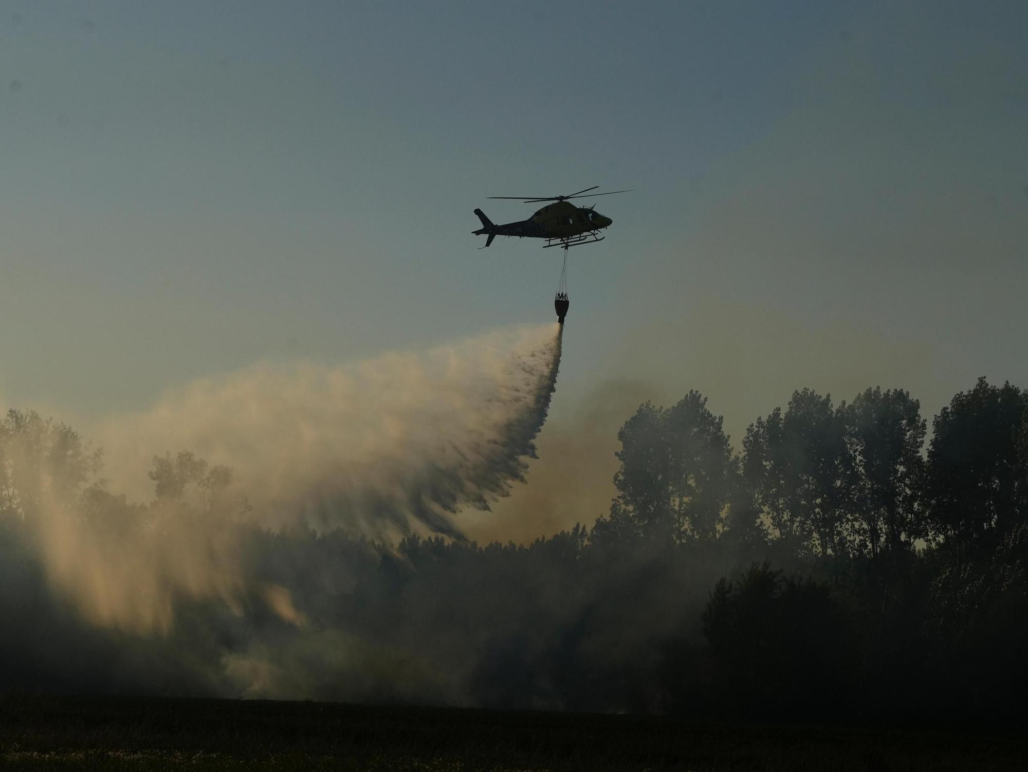 GALERÍA | Incendio en el &quot;Plantío viejo&quot; de Villaralbo