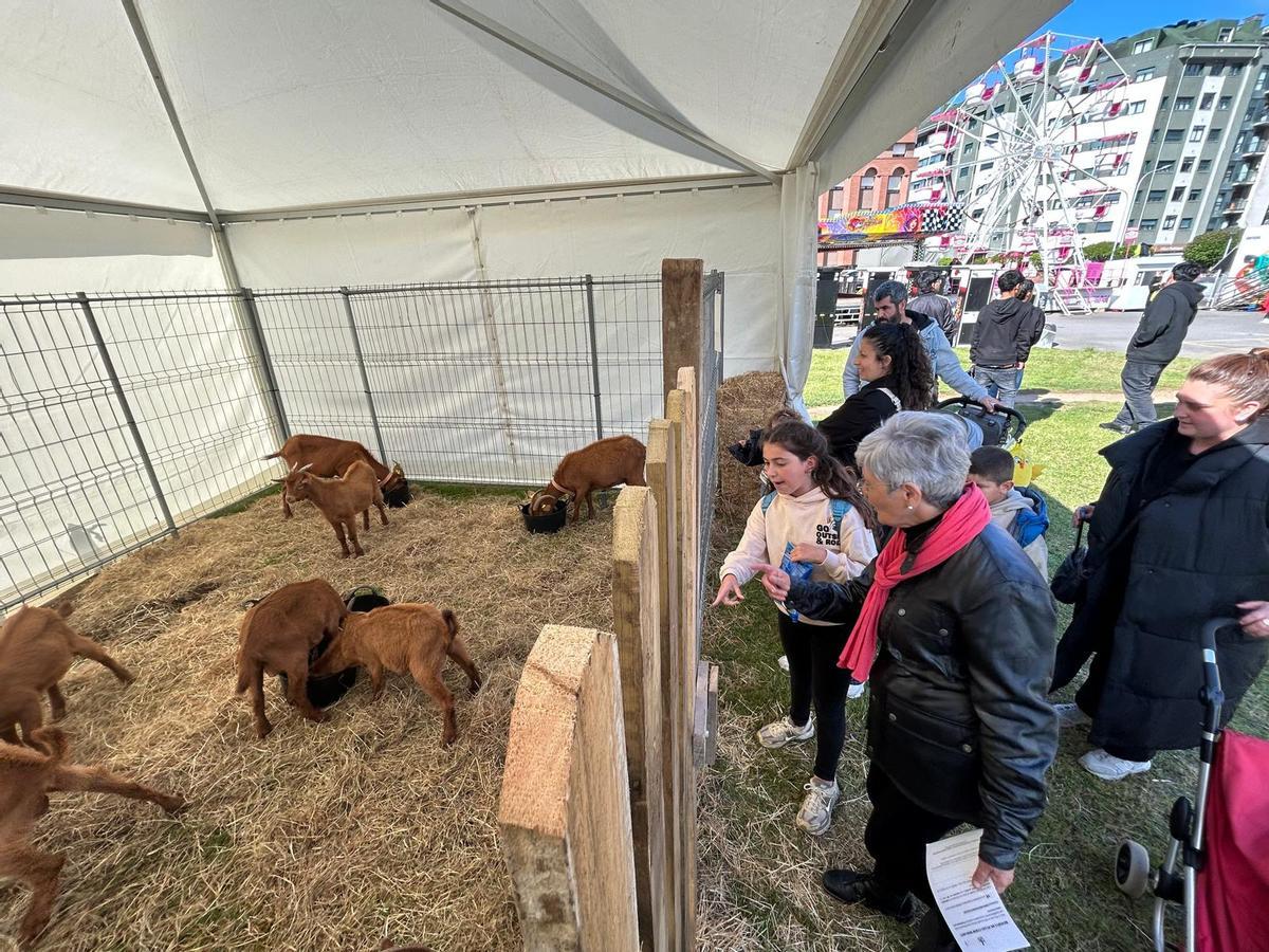 EN IMÁGENES: Así fue la primera jornada de las fiestas de San Isidro en Piedras Blancas