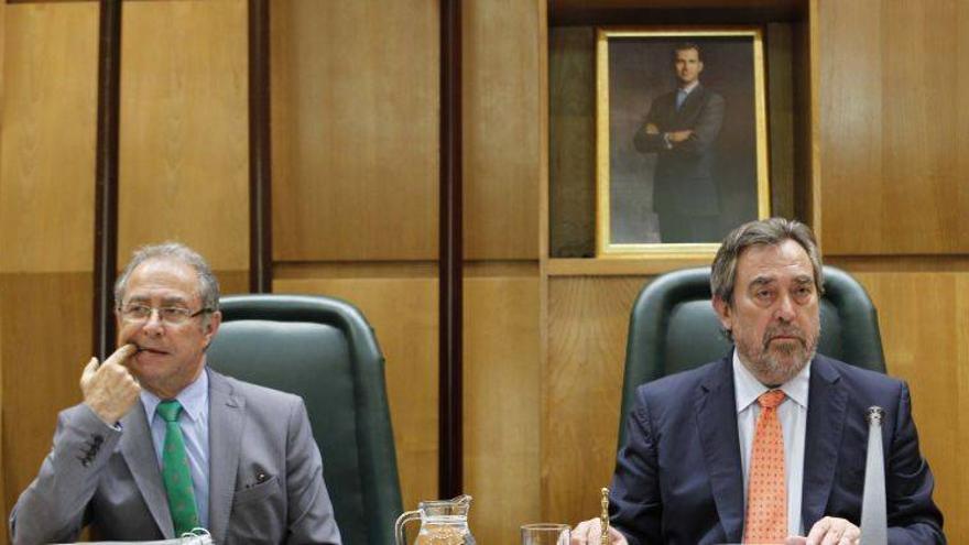 PSOE, CHA e IU votan a favor de la reforma constitucional