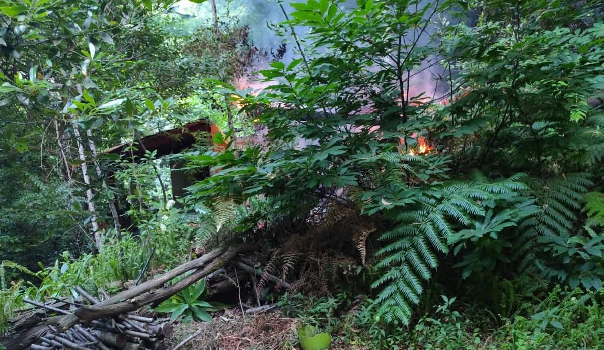 Incendio en Los Tilos