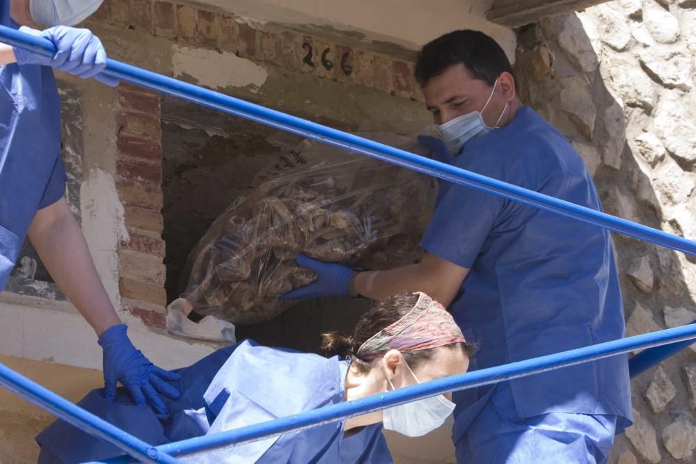 Exhumación fusilados de la guerra civil en el cementerio de Ontinyent