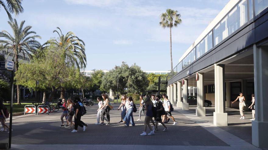 Universitarios de Gandia se quedan sin beca para alquilar piso en València