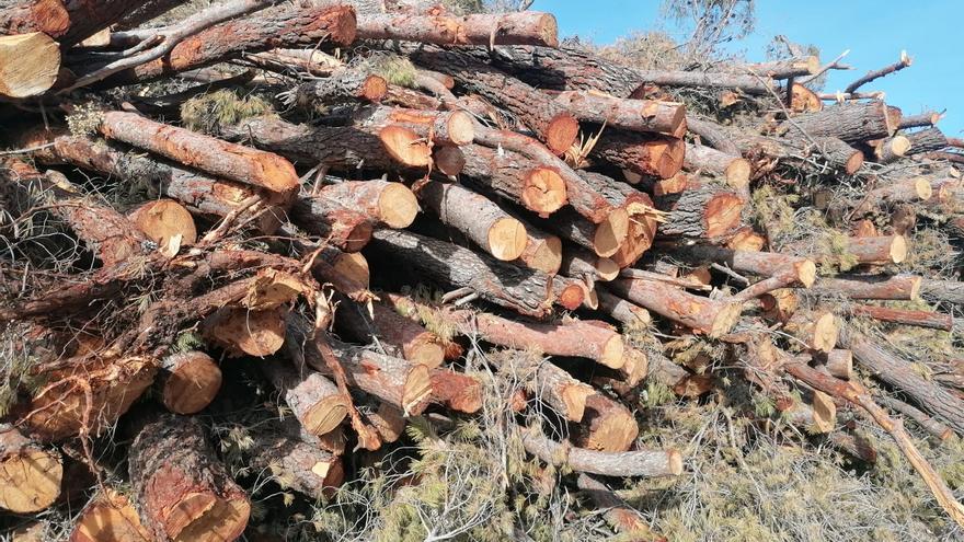 Agró exige que las administraciones «cumplan la sentencia» sobre las talas en Enguera