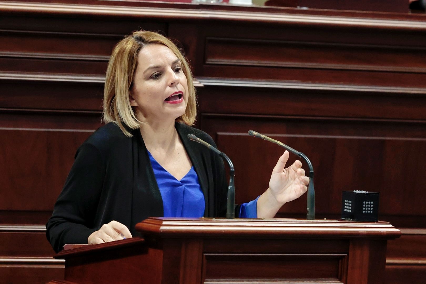 Pleno extraordinario en el Parlamento de Canarias (19/01/2023)