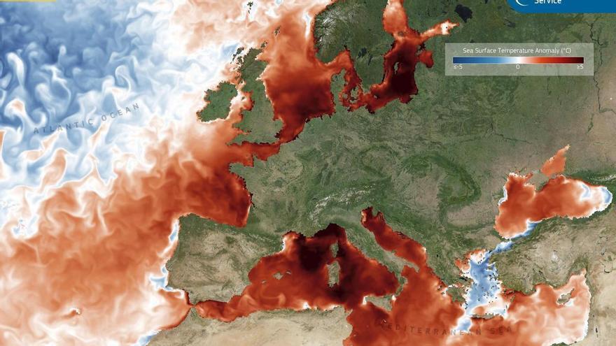 La temperatura del mar a l’Estartit està 2,6ºC per sobre de la mitjana