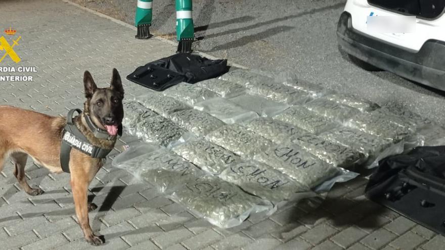 Detenido en Castellón con 26 kilos de cogollos de marihuana