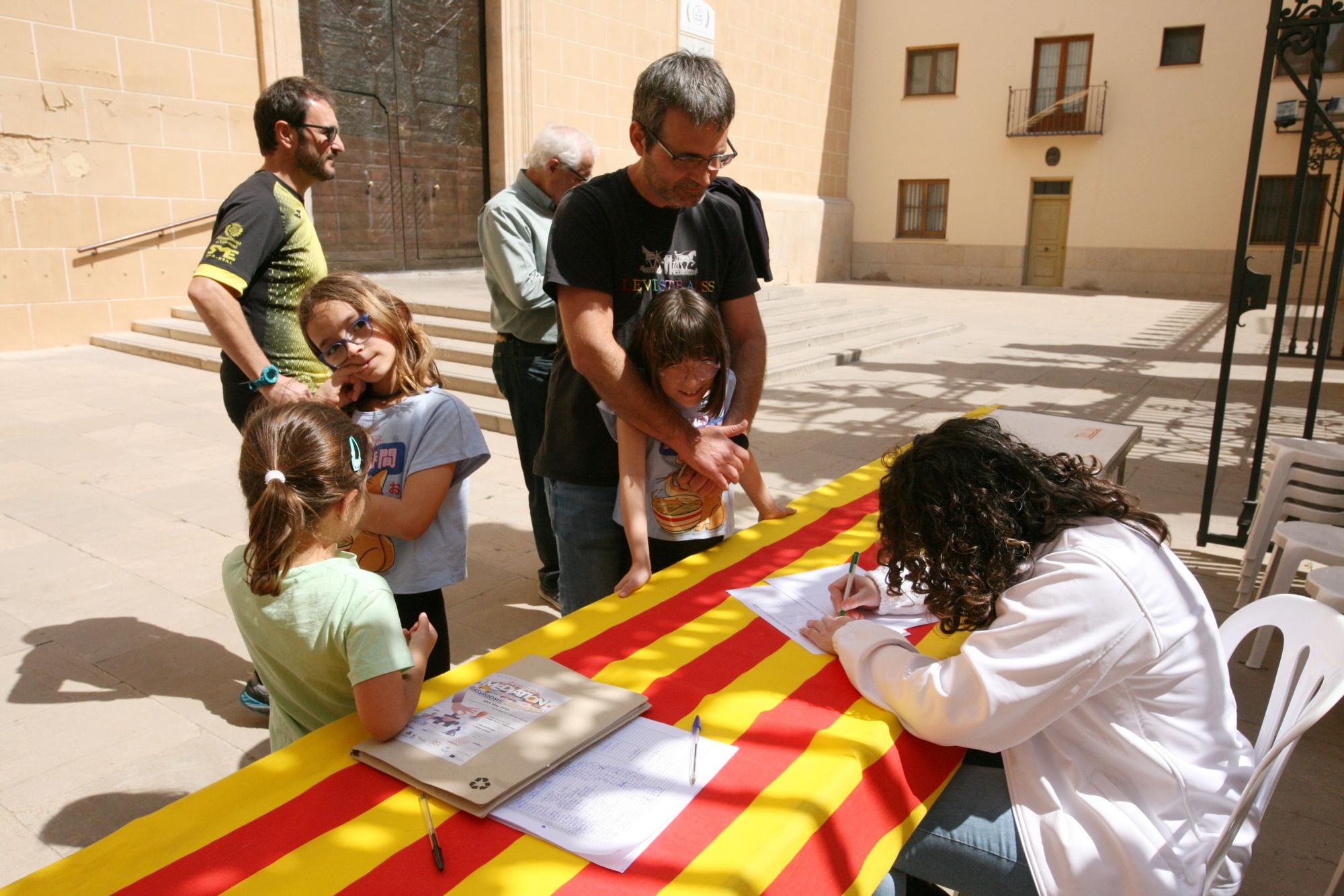 Las imágenes de la séptima jornada de las fiestas de Sant Pasqual del 2023 en Vila-real