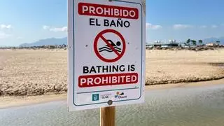 La sequía también obliga a prohibir en baño en tres tramos de las playas de Oliva