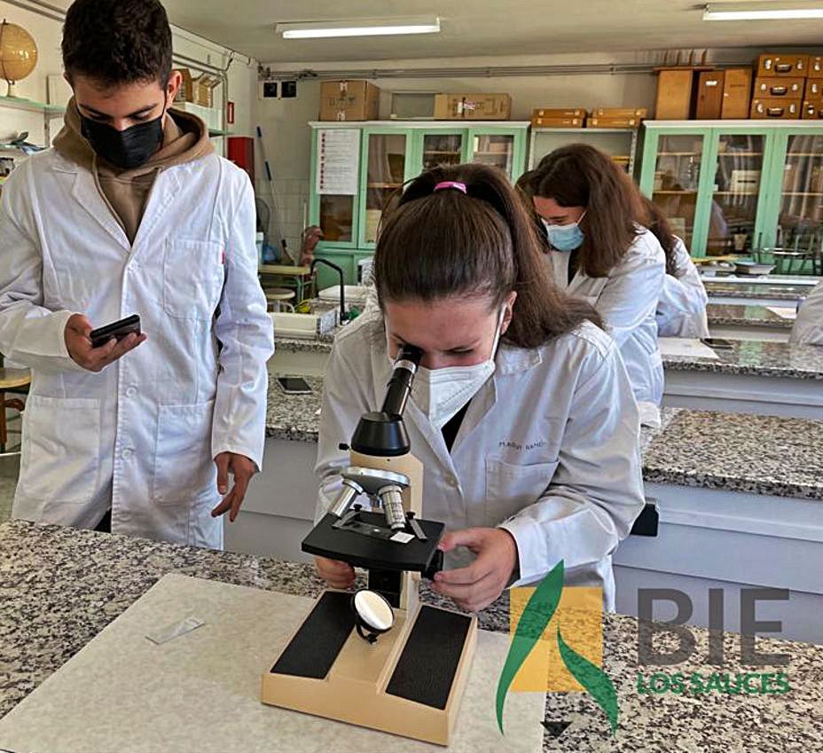 Una estudiante analiza una muestra a través del microscopio.