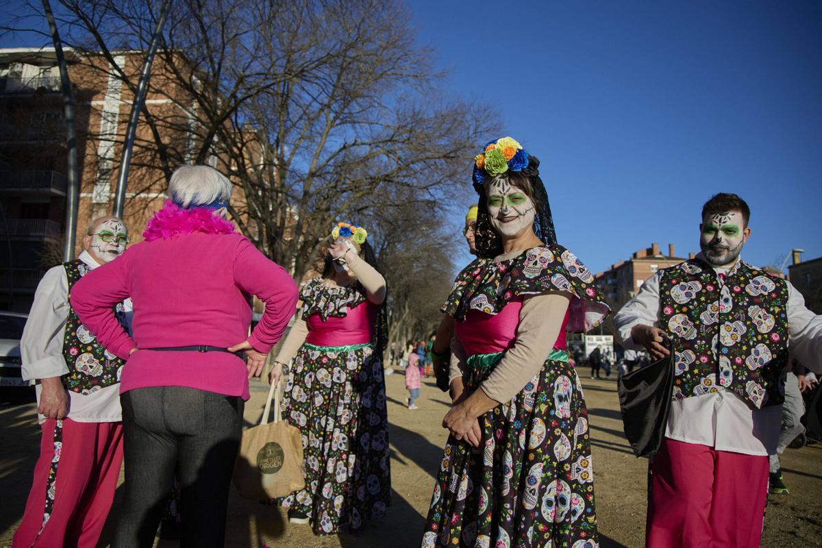 Les imatges del Carnaval de Salt 2026