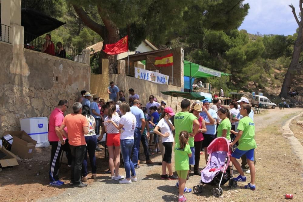 Romería de la Virgen del Rosario en Barinas