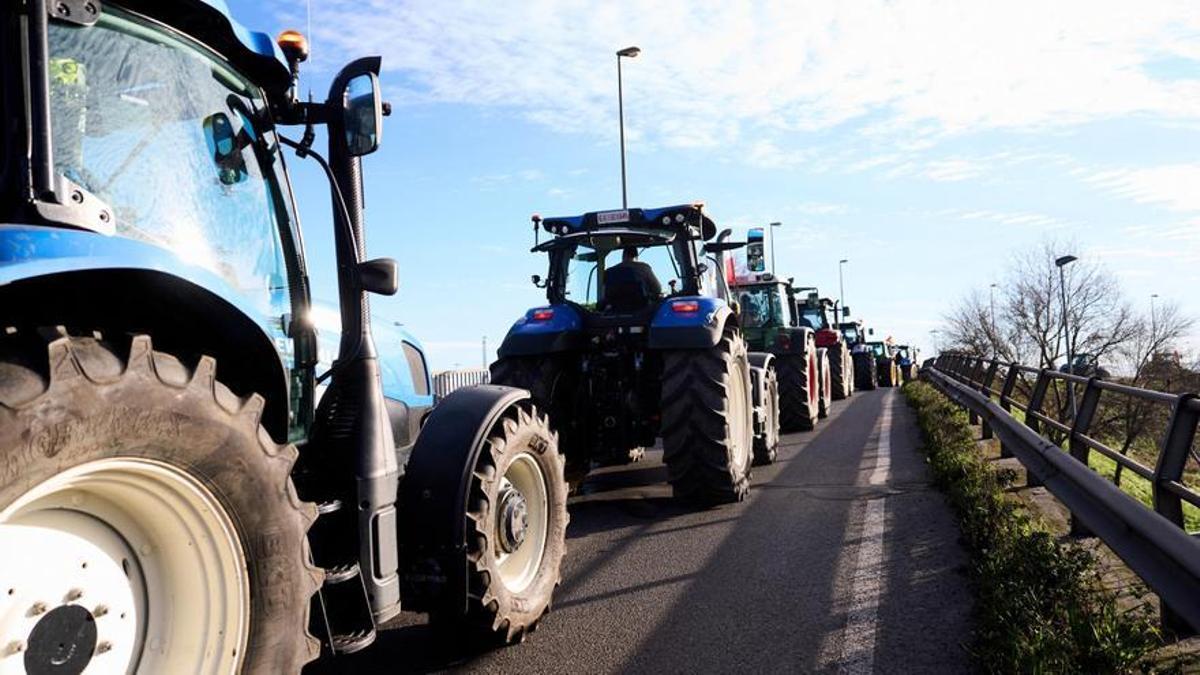 Protestas de los agricultores, en directo  Planas se reúne con los agricultores, que piden un plan de choque para levantar las protestas