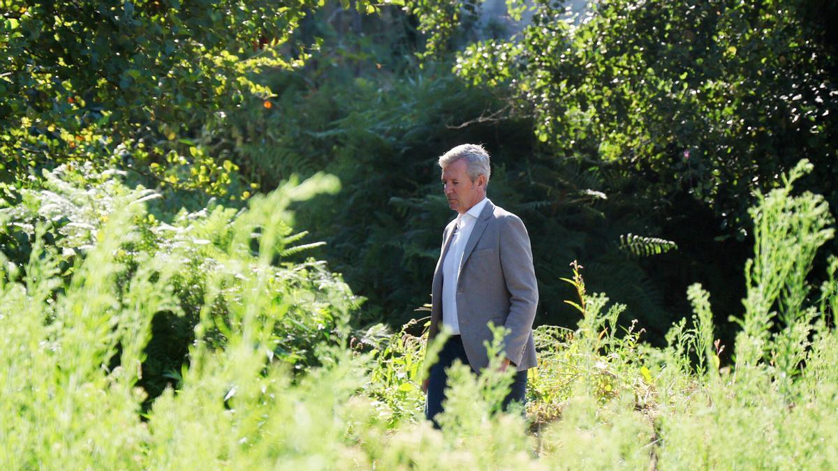 El presidente de la Xunta de Galicia, Alfonso Rueda, visita las obras de saneamiento de la zona del río Lameira, en Marín.