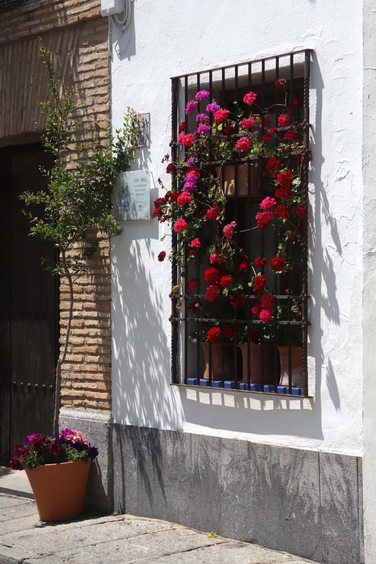 Paseo por el Alcázar Viejo durante la crisis del coronavirus