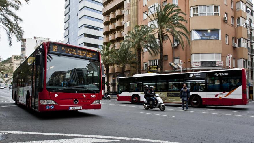 Alicante contará con dos nuevas líneas circulares del bus