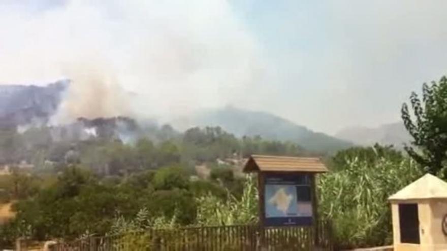 Waldbrand in Sa Coma Calenta bei Andratx