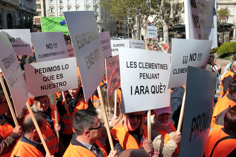 Manifestación en defensa del sector citrícola