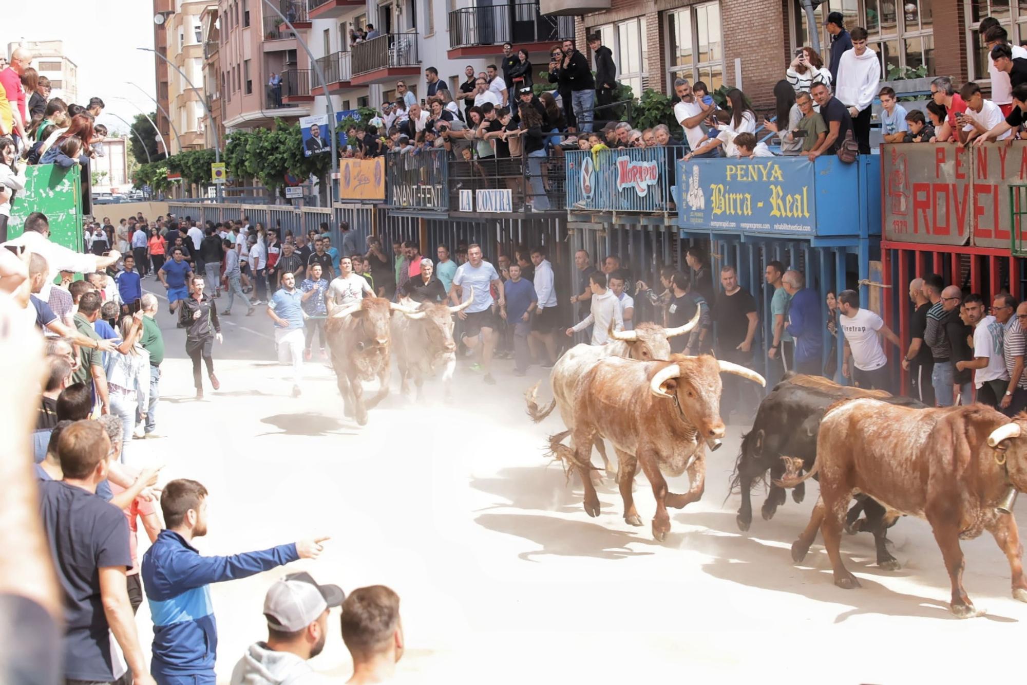 Las imágenes de la séptima jornada de las fiestas de Sant Pasqual del 2023 en Vila-real