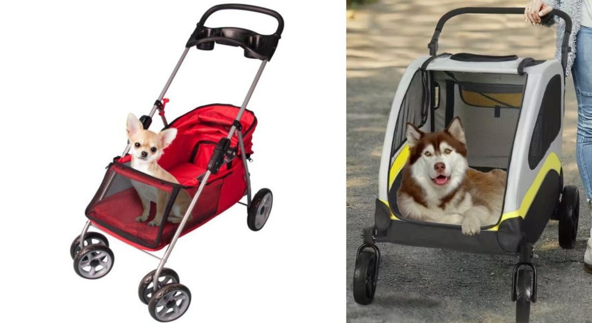 Este es el tipo de carrito que necesita Toxo.