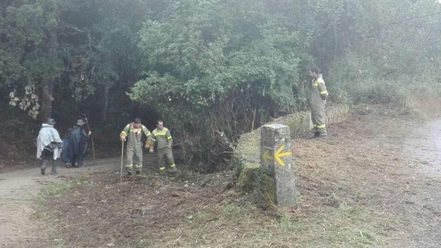 Acometen desbroces en Lalín para la prevención de incendios