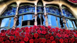 La rosa de Sant Jordi: el significat del vermell i altres colors