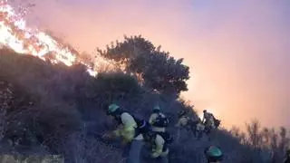 Preocupación por el incendio forestal de Almuñécar (Granada): 'Estamos teniendo muy mala suerte'