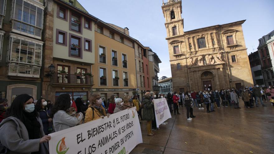 Protesta contra la nueva gestora del albergue de animales de La Bolgachina.