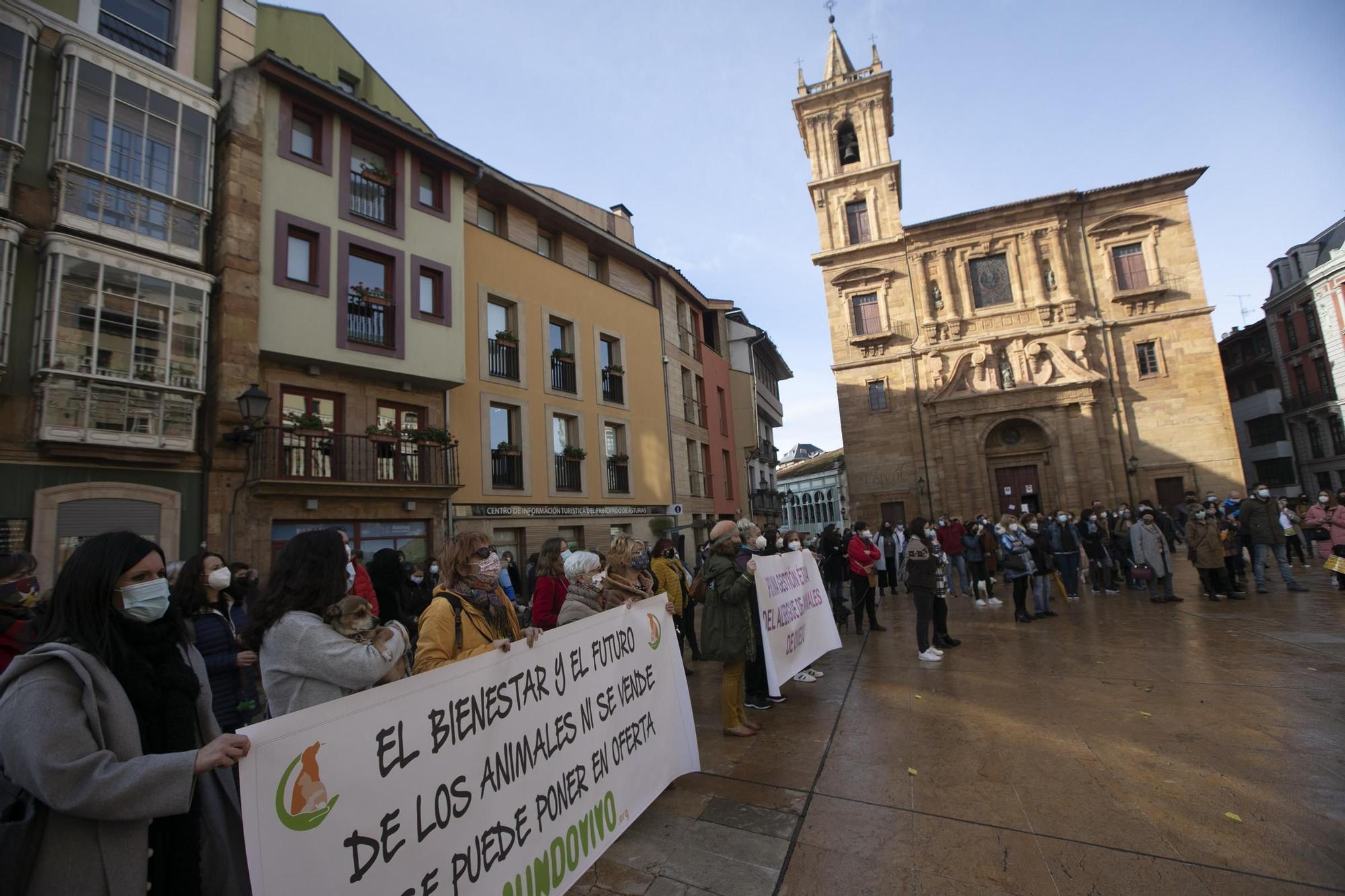 Protesta contra la nueva gestora del albergue de animales de La Bolgachina.  - La Nueva España