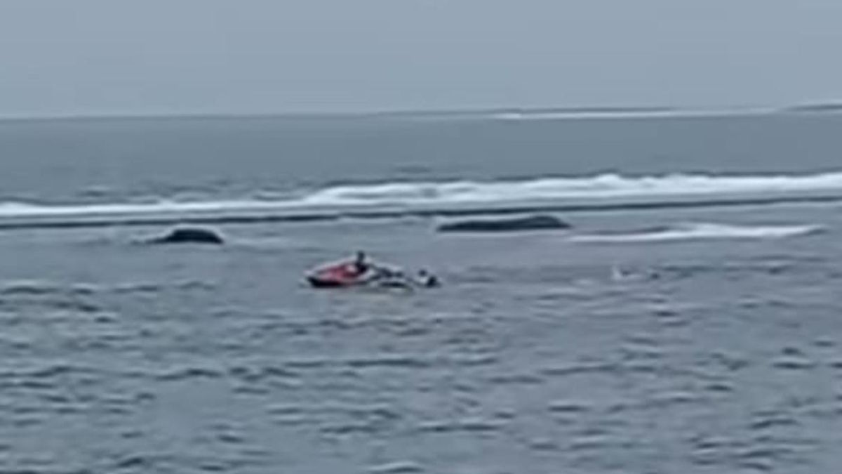 Rescate en Las Canteras