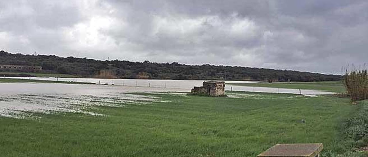 Imagen de una finca de es Rafal, en el municipio de Ariany, anegada a causa del desbordamiento del torrente de Son Bachs.